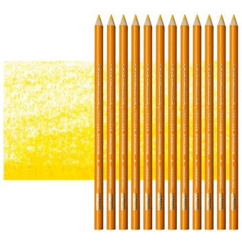 Prismacolor Premier Colored Pencils Set of 12 PC1003 - Spanish Orange