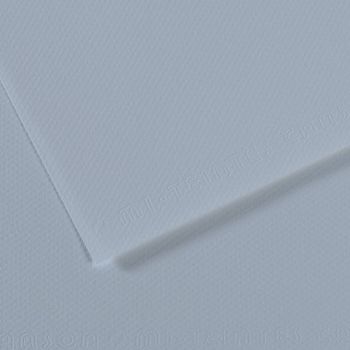 Canson Mi-Teintes Paper 10pk 19x25 in #182 Steel Blue
