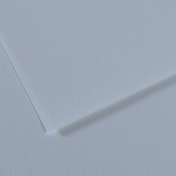 Canson Mi-Teintes Sheet - 182/Steel Blue, 19" x 25" (Pack of 10)