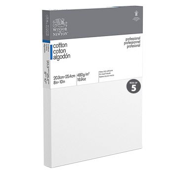 Winsor & Newton Professional Canvas Standard Depth (0.82") Stretched Canvas-8"x10" (Box of 5)