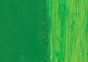 Da Vinci Artists' Oil Color 37 ml Tube - Permanent Green