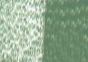 Cretacolor AquaStic Crayon No. 184 - Grass Green