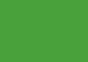 Daler-Rowney Soft Pastel Individual - Grass Green 4