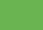 Daler-Rowney Soft Pastel Individual - Lizard Green 4