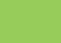 Daler-Rowney Soft Pastel Individual - Sap Green 2