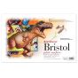 Strathmore Sequential Paper 500 Plate Bristol 11x17" Pad