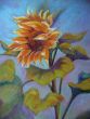 Sunflower by Kim Maselli with SoHo Colored Pencils