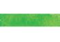 Caran D'Ache Museum Aquarelle Pencils - Bright Green