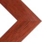 Phoenix 1" Wood Frame with acrylic glazing and cardboard backing 20x24" - Cherry