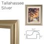 Tallahassee Silver Frame