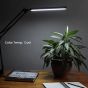 Acurit LED Swing Arm Desk Lamp - Cool Light Temp
