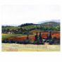 Art By Dana Brown on Ampersand Value Series Artist Panels - Canvas Texture