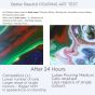 Best pouring mediums for better results after 24 hours