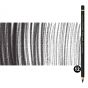 Caran d'Ache Pablo Pencils Set of 12 No. 009 - Black