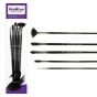 Black Swan Synthetic Red Sable Brush Long Handle Explorer Set of 5