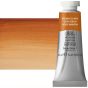 Winsor & Newton Professional Watercolor - Brown Ochre, 14ml Tube