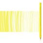 Caran d'Ache Pablo Pencils Individual No. 250 - Canary Yellow