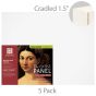 Ampersand Value Series Artist Panel 5 Pack Canvas Finish - 1-1/2" Cradle 11x14"