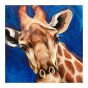 Giraffe by Amy Dean on Centurion Deluxe Oil Primed Linen Roll