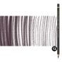 Caran d'Ache Pablo Pencils Set of 12 No. 409 - Charcoal Grey