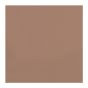 Chestnut Brown #188 Canson Mi-Teintes Paper 10pk 19x25 in  