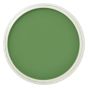 PanPastel™ Artists' Pastels - Chrome Oxide Green, 9ml