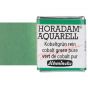 Schmincke Horadam Half-Pan Watercolor Cobalt Green Pure
