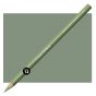 Conté Pastel Pencil Set of 12 - Green Grey
