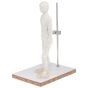 Figure Armature - 12in