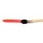 #6 Quill Squirrel Watercolor  Brush