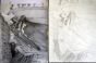 Sketches on Da Vinci Pro Panel by Ron Croci