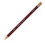 Derwent Pastel Pencil - Individual #P570 - Tan