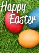Easter Art eGift Card - Easter Eggs on Grass - electronic gift card eGift Card