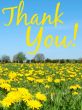Thank You Art eGift Card - Field of Yellow Flowers eGift Card