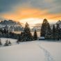 Gorgeous Colors for Snow Landscapes