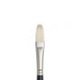 Winsor & Newton Artists Oil Chungking Brush Filbert #8