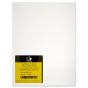 Fredrix Cut Edge Canvas Panels 25-Pack 9x12" - White