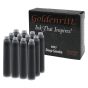 Deep Smoke 12-Pack Goldenritt Ink Cartridges