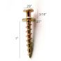 Bear Claw Screw, 1" (Dimensions)