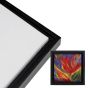 Illusions Floater Frame, 8"x8" Black - 1-1/2" Deep