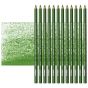 Prismacolor Premier Colored Pencils Set of 12 PC1096 - Kelly Green	