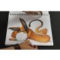 Artwork on Colored Pencil Dual Wire Bound Pads