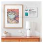 Krylon Gallery Series UV Archival Varnish - Matte