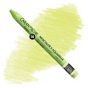 Caran d'Ache Neocolor II Water-Soluble Wax Pastels - Lime Green, No. 231 (Box of 10)