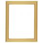 Millbrook Collection - Naples 1.5" Gold Frame 20X24 w/ Acrylic 