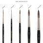 Set includes 5 mixed watercolor brushes