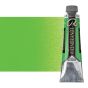 Rembrandt Extra-Fine Artists' Oil - Permanent Green Light, 40ml Tube