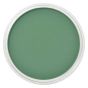PanPastel™ Artists' Pastels - Permanent Green Shade, 9ml