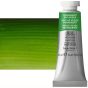 Winsor & Newton Professional Watercolor - Permanent Sap Green, 14ml Tube