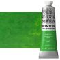 Winton Oil Color 37ml Tube - Permanent Green Light